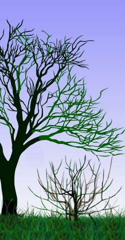 Graphic of tree and bush